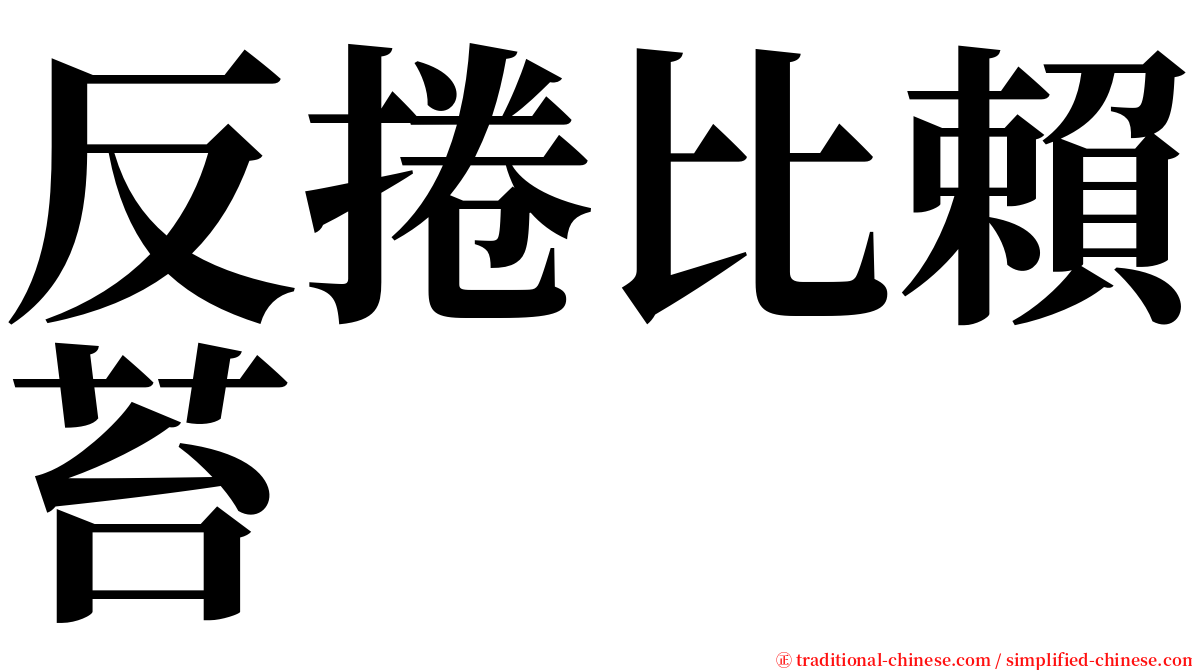 反捲比賴苔 serif font
