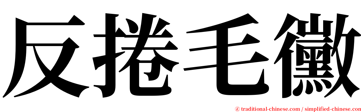 反捲毛黴 serif font