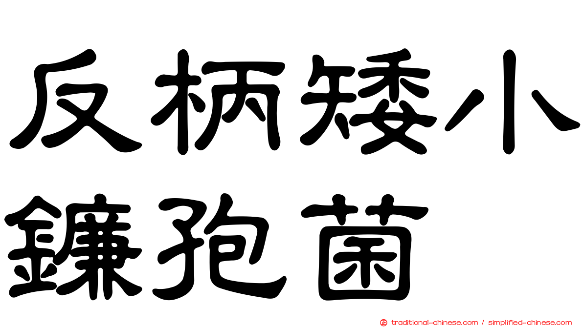 反柄矮小鐮孢菌
