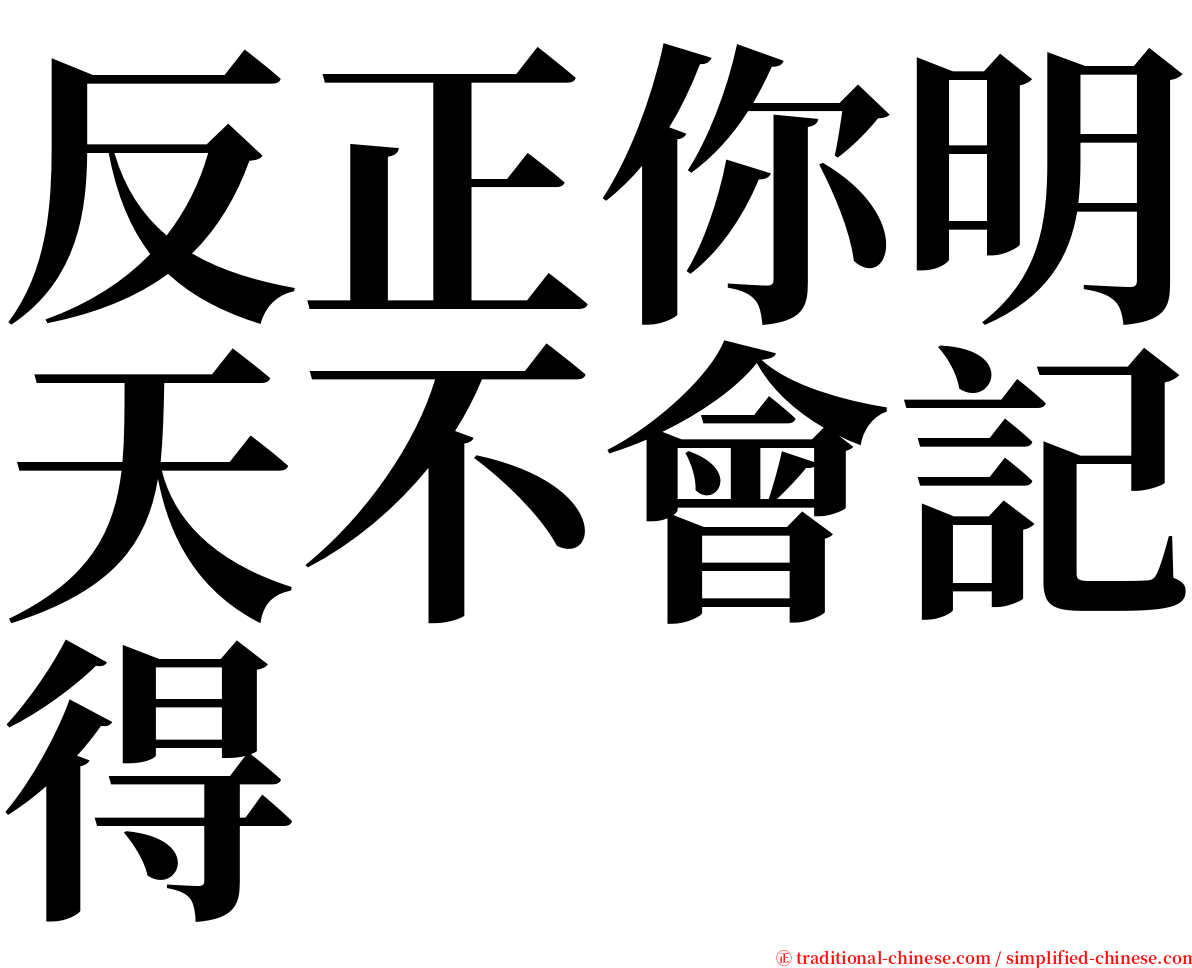 反正你明天不會記得 serif font