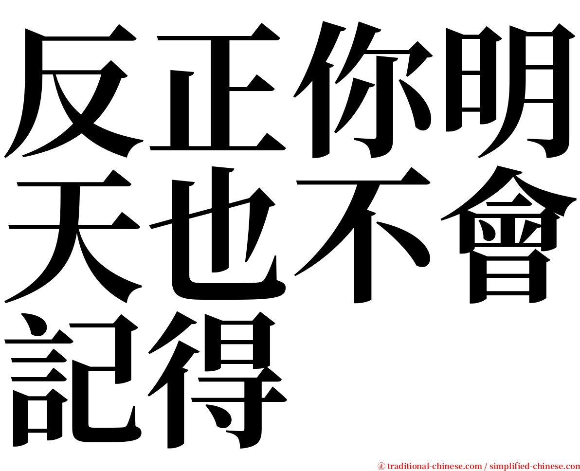 反正你明天也不會記得 serif font