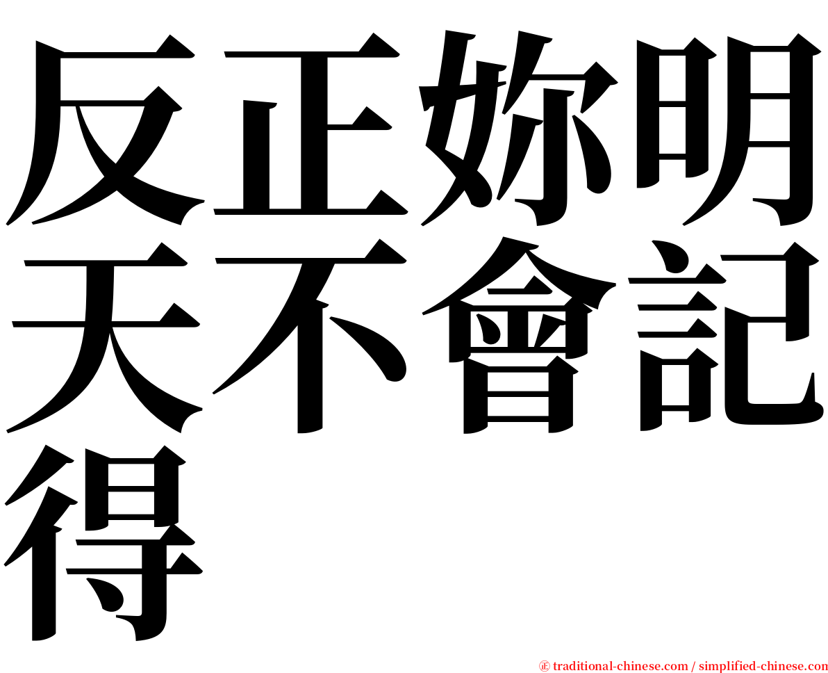 反正妳明天不會記得 serif font