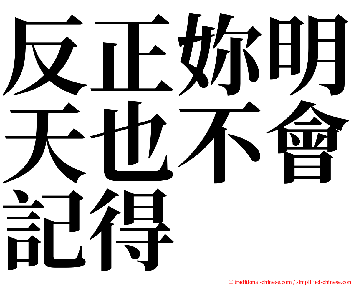 反正妳明天也不會記得 serif font