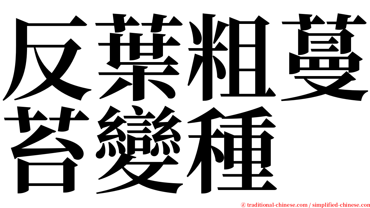 反葉粗蔓苔變種 serif font