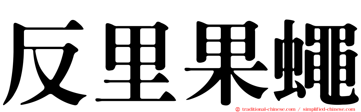 反里果蠅