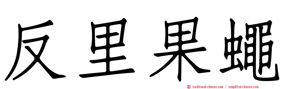 反里果蠅