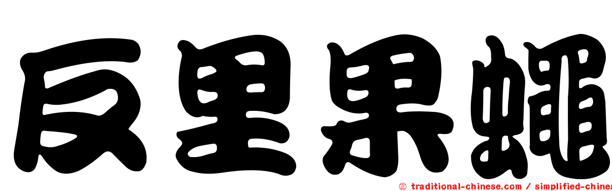 反里果蠅
