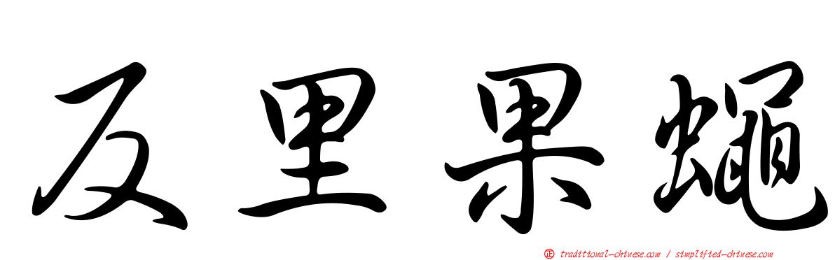 反里果蠅