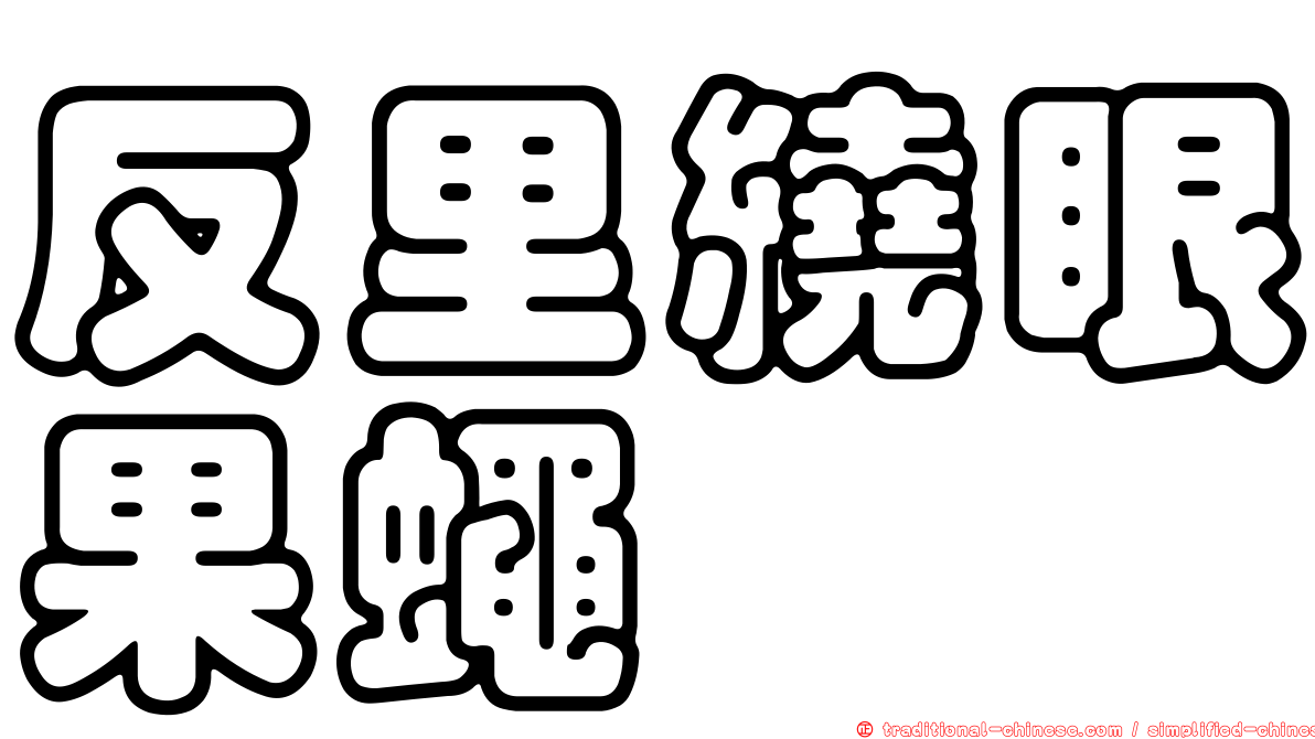 反里繞眼果蠅