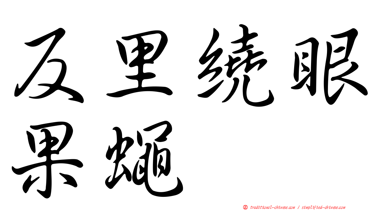 反里繞眼果蠅