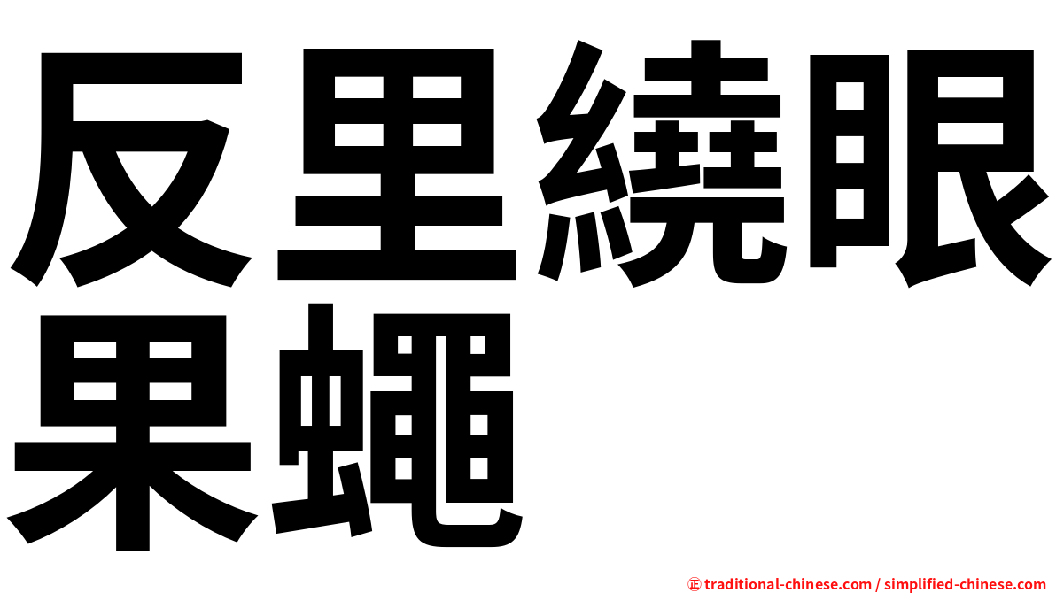 反里繞眼果蠅