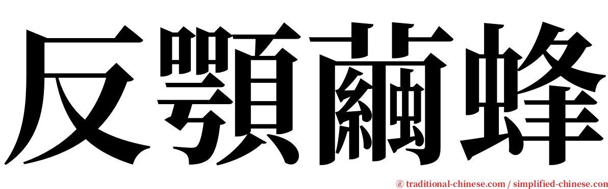 反顎繭蜂 serif font