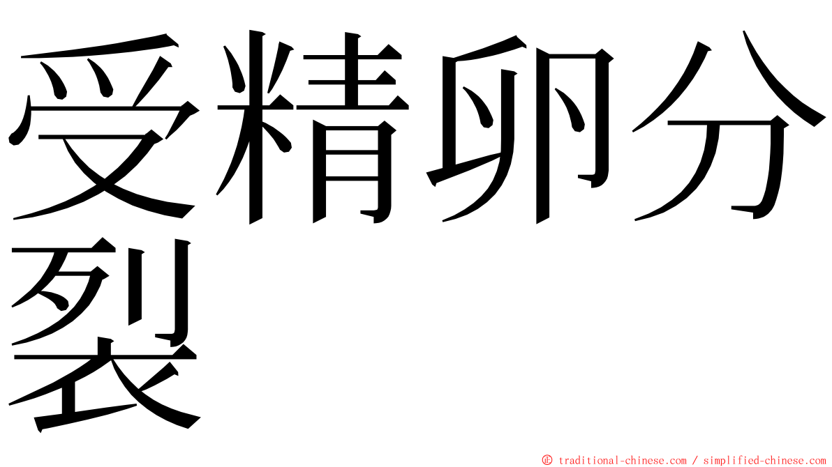 受精卵分裂 ming font