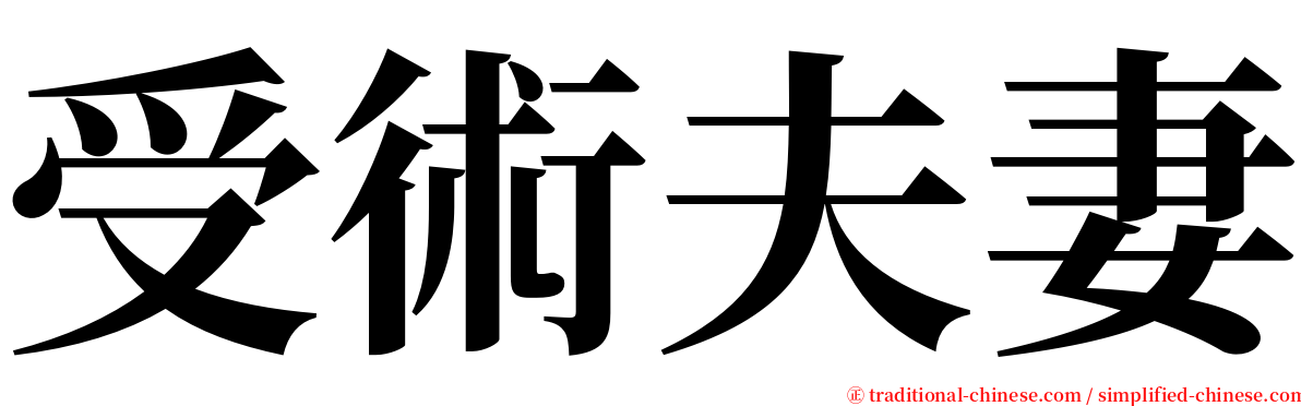 受術夫妻 serif font