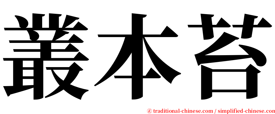 叢本苔 serif font