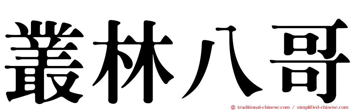 叢林八哥