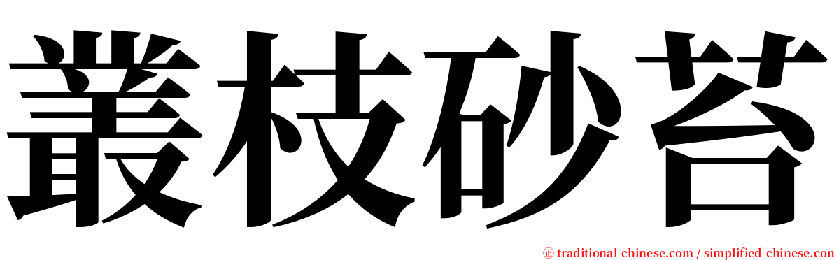 叢枝砂苔 serif font