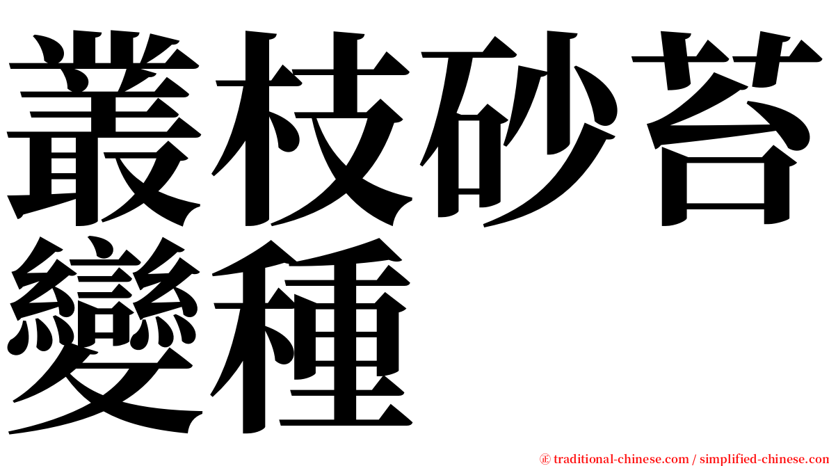 叢枝砂苔變種 serif font