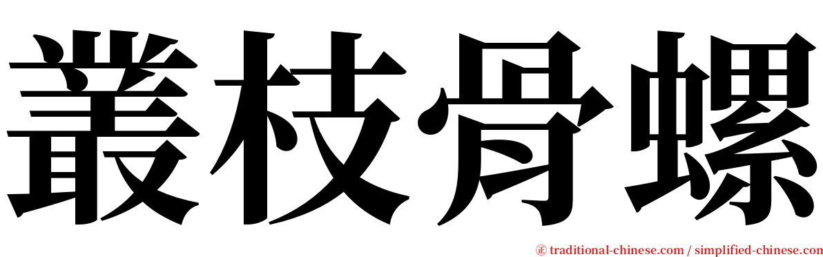 叢枝骨螺 serif font
