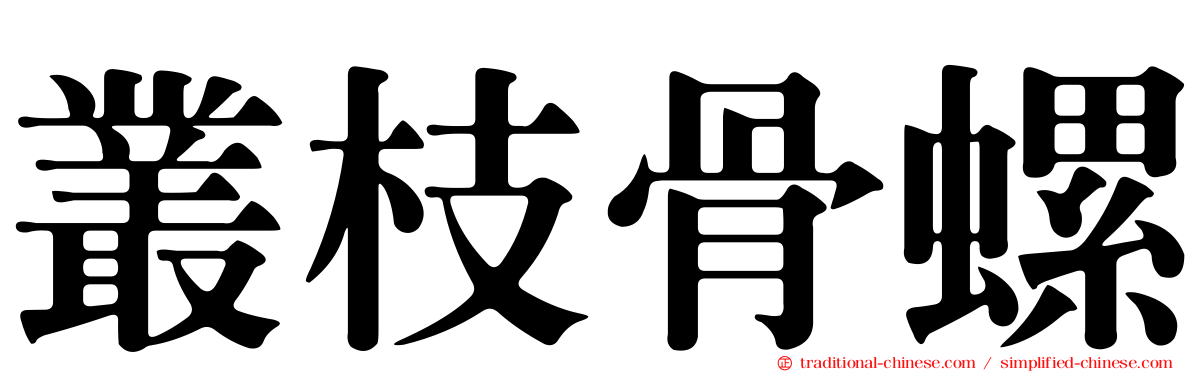 叢枝骨螺