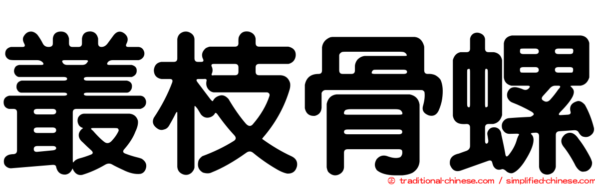 叢枝骨螺