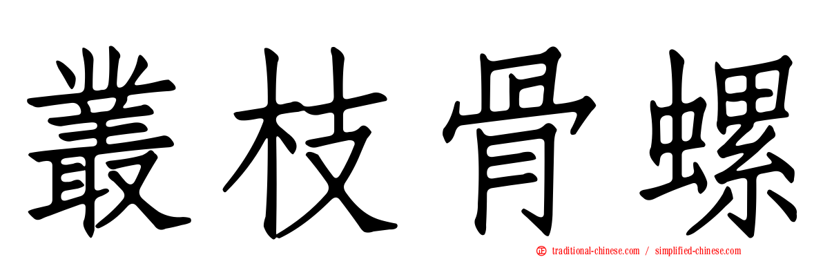 叢枝骨螺