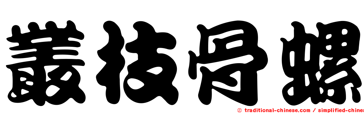 叢枝骨螺