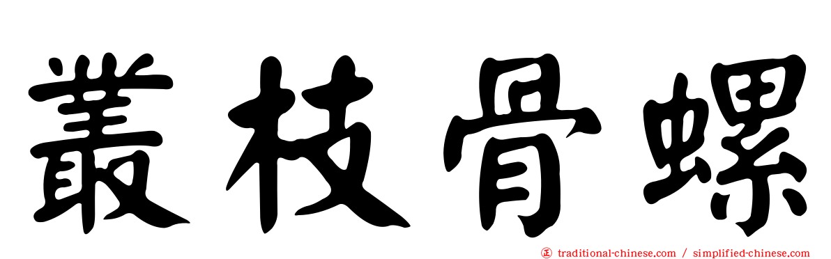 叢枝骨螺