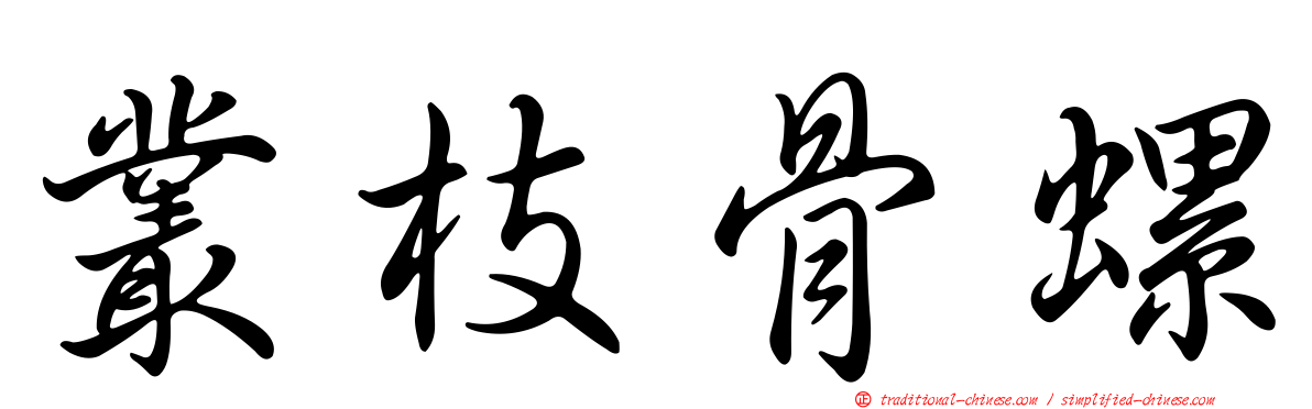 叢枝骨螺