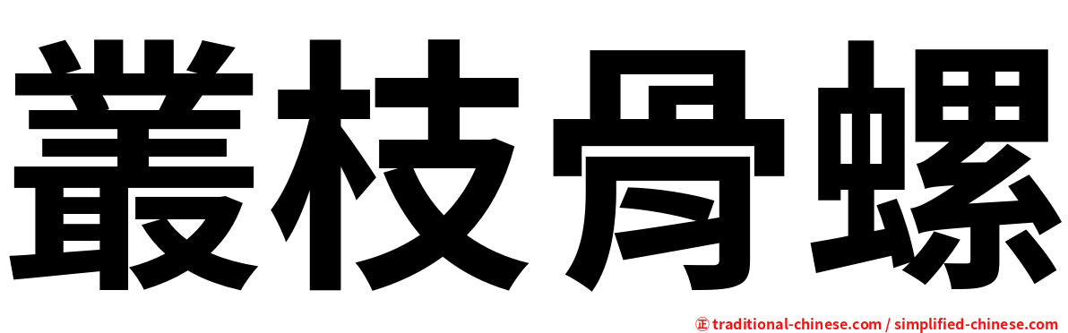 叢枝骨螺
