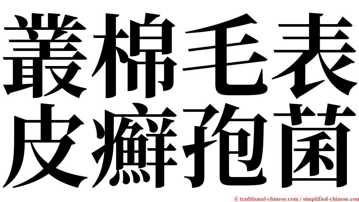 叢棉毛表皮癬孢菌 serif font