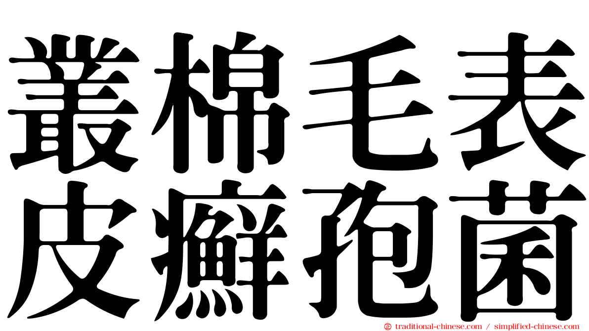叢棉毛表皮癬孢菌