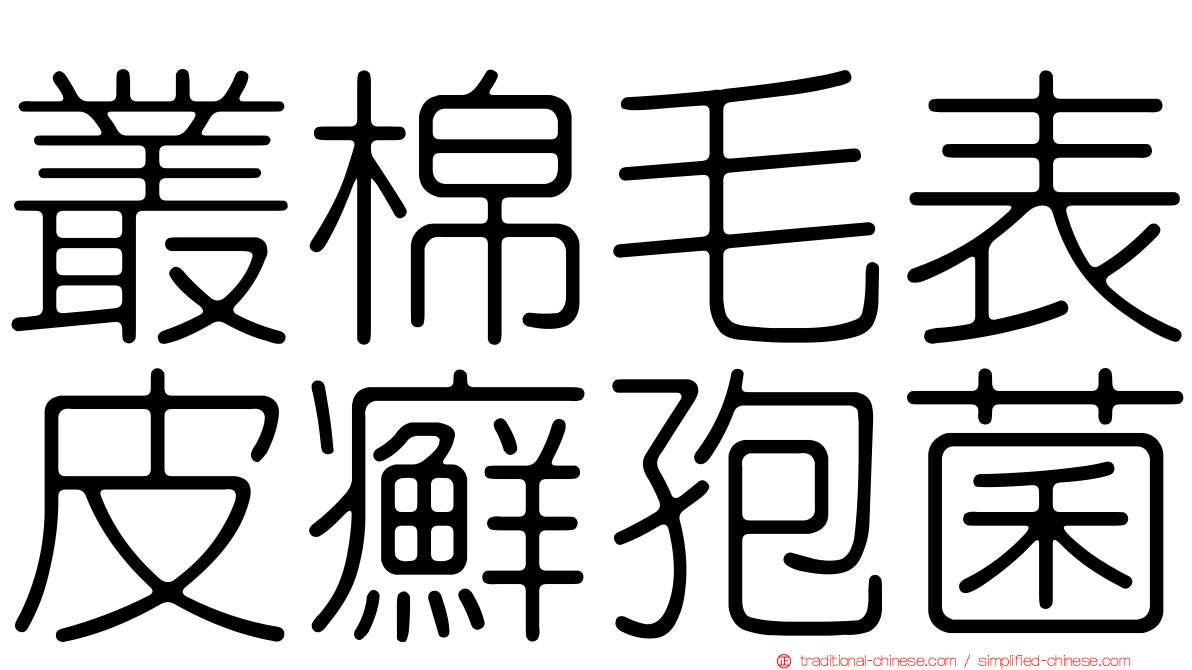 叢棉毛表皮癬孢菌