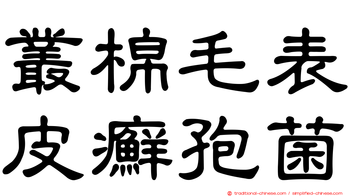 叢棉毛表皮癬孢菌