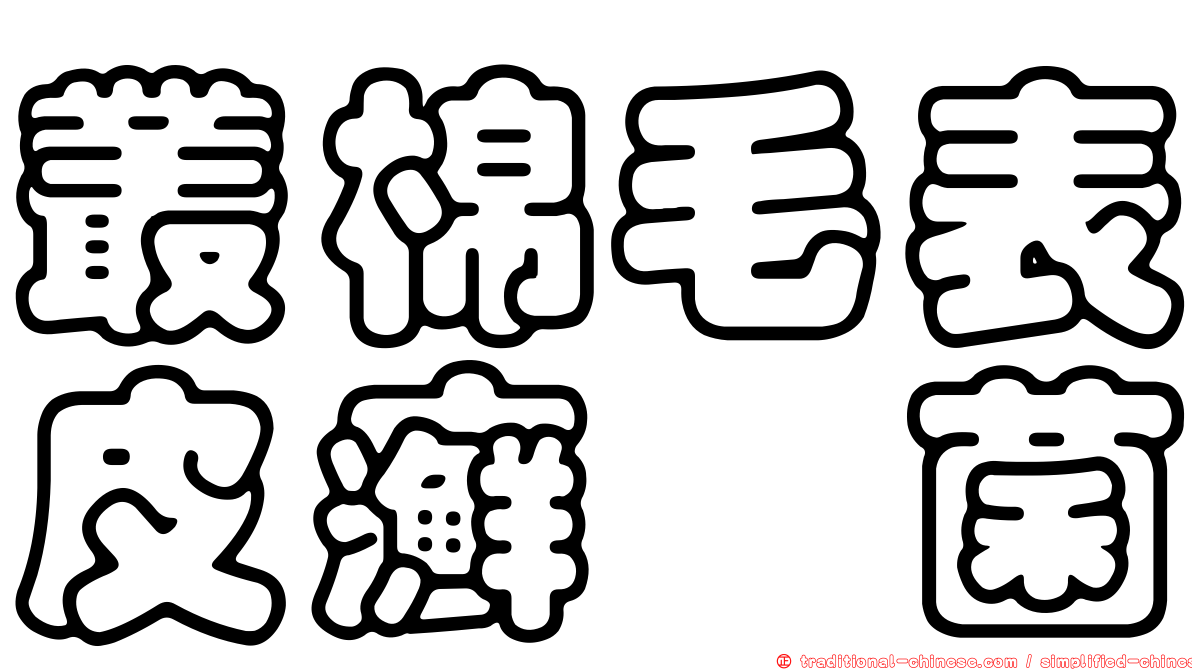 叢棉毛表皮癬孢菌