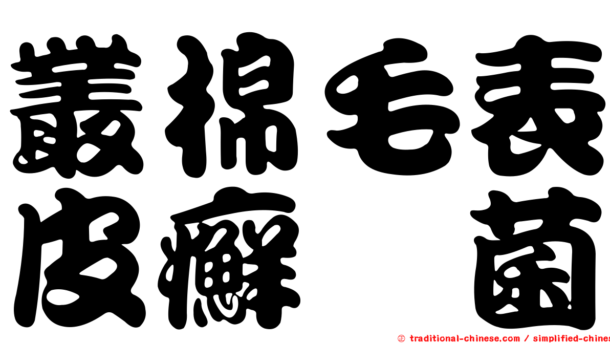 叢棉毛表皮癬孢菌