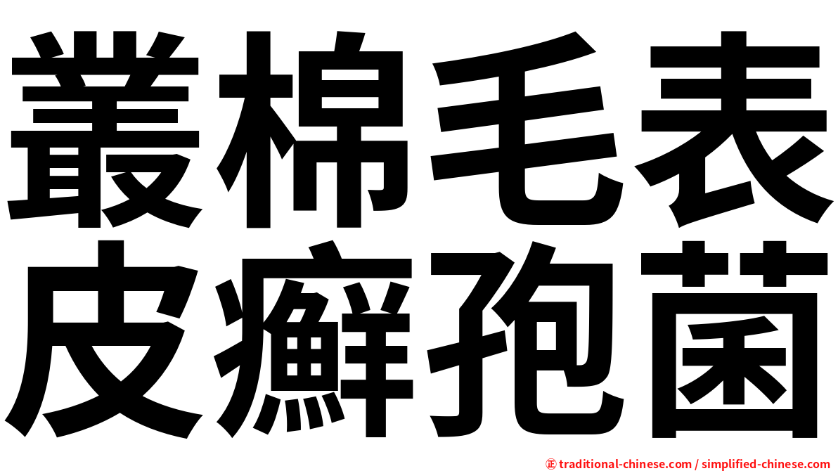 叢棉毛表皮癬孢菌