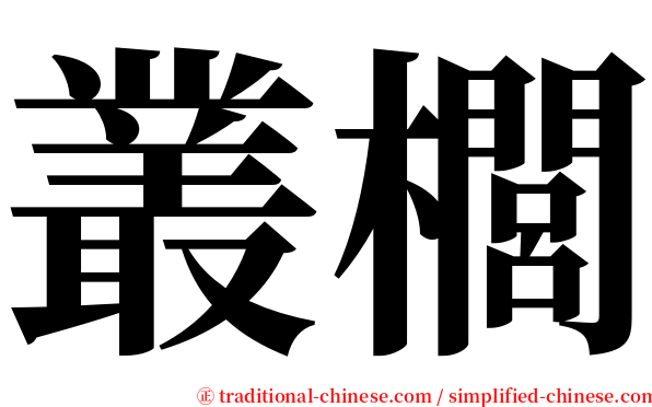 叢櫚 serif font