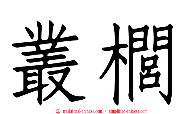 叢櫚