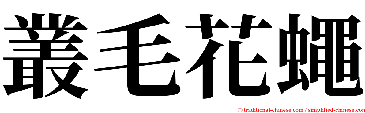 叢毛花蠅 serif font