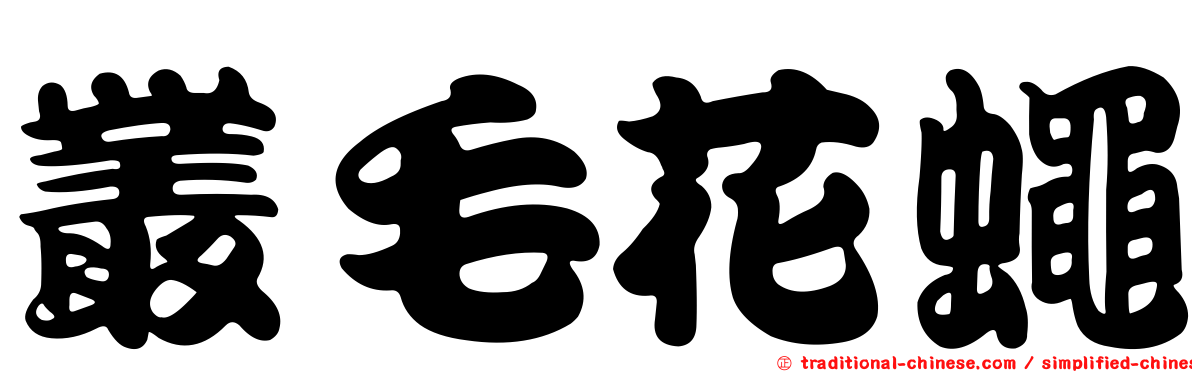 叢毛花蠅