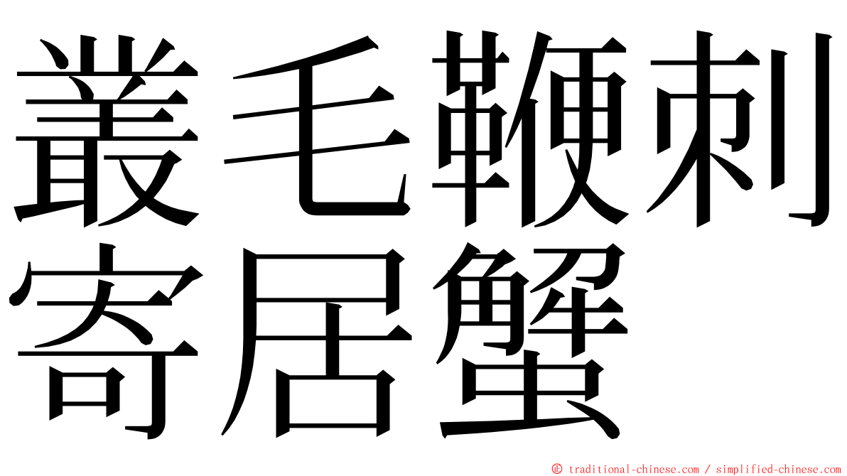 叢毛鞭刺寄居蟹 ming font