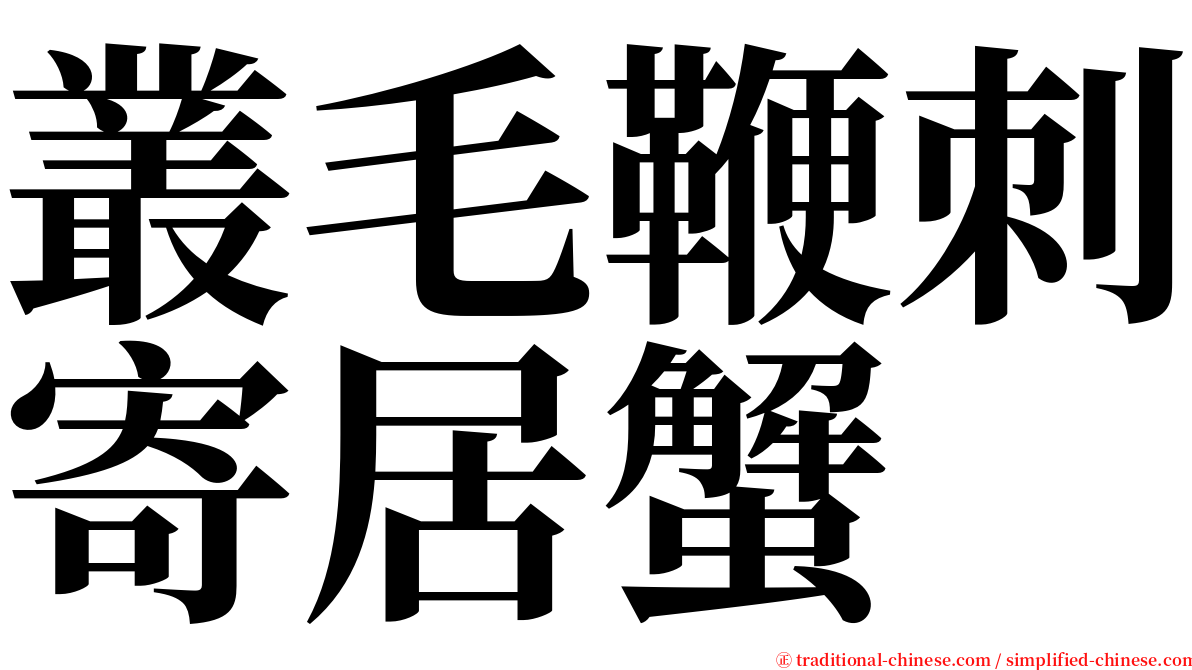 叢毛鞭刺寄居蟹 serif font