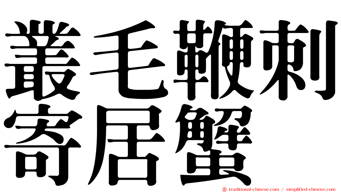 叢毛鞭刺寄居蟹