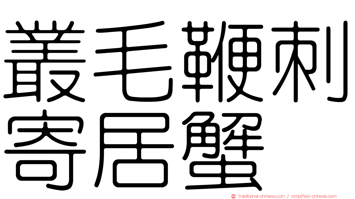 叢毛鞭刺寄居蟹