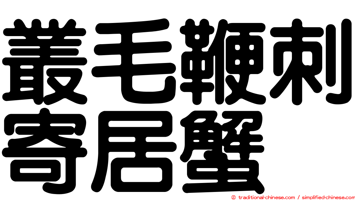叢毛鞭刺寄居蟹