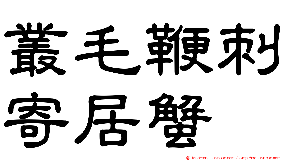 叢毛鞭刺寄居蟹