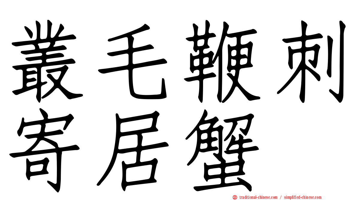 叢毛鞭刺寄居蟹
