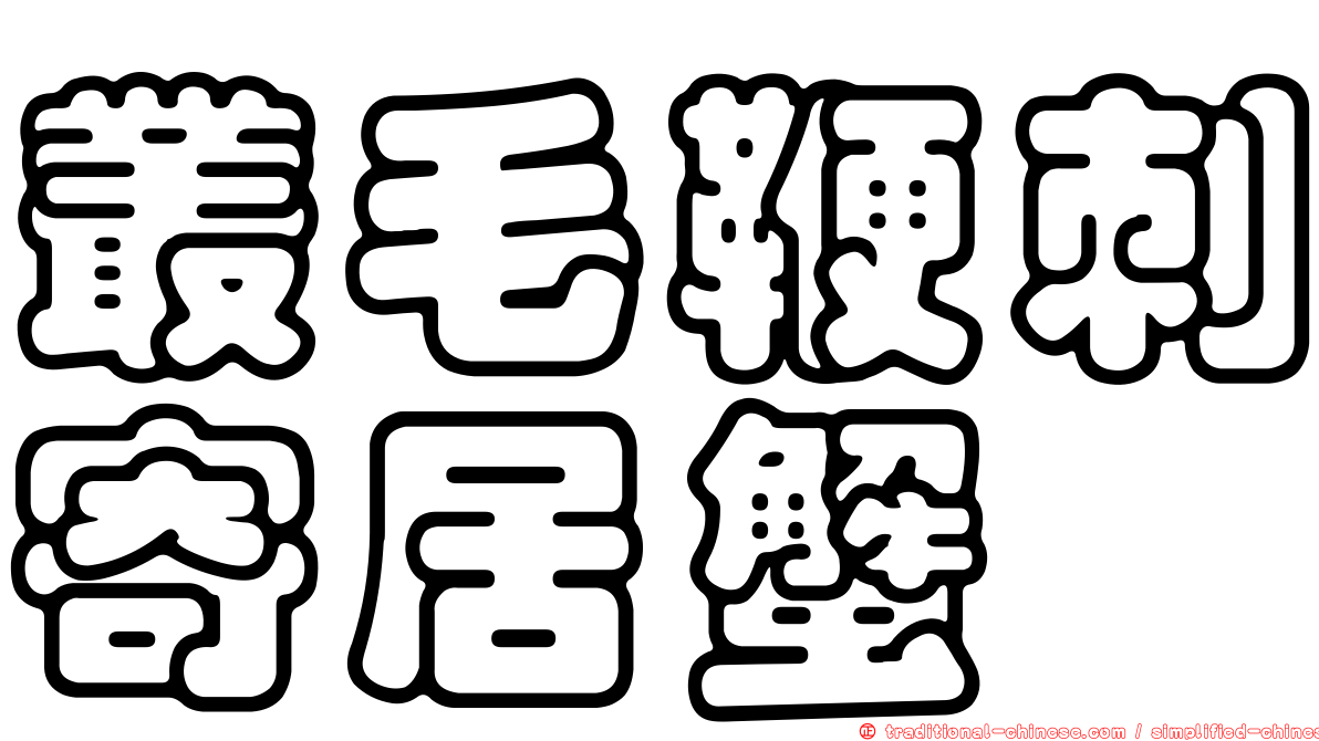 叢毛鞭刺寄居蟹