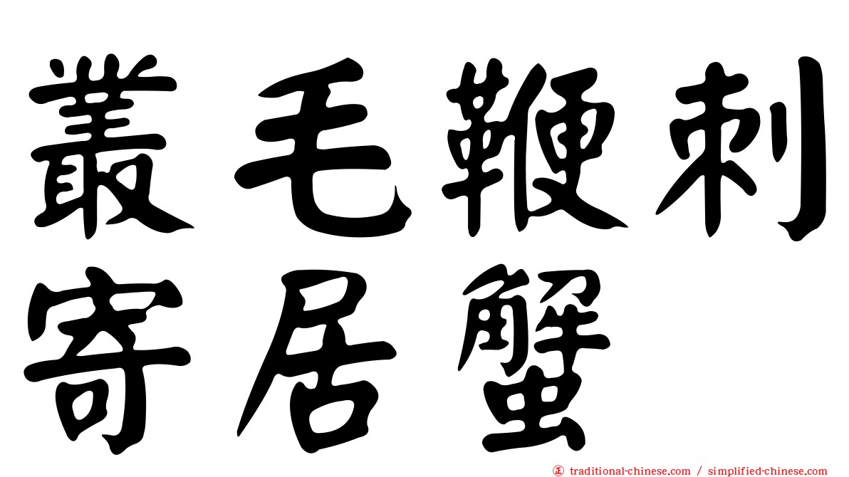 叢毛鞭刺寄居蟹